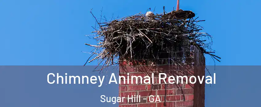  Chimney Animal Removal Sugar Hill - GA