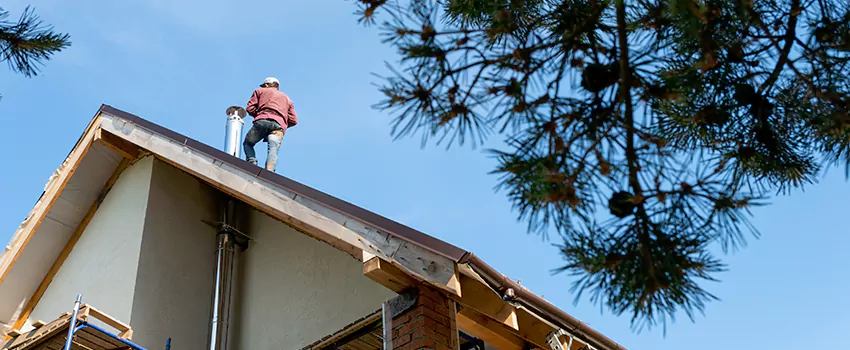 Birds Removal Contractors from Chimney in Sugar Hill, GA