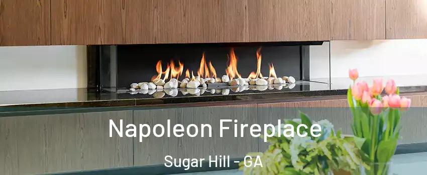 Napoleon Fireplace Sugar Hill - GA